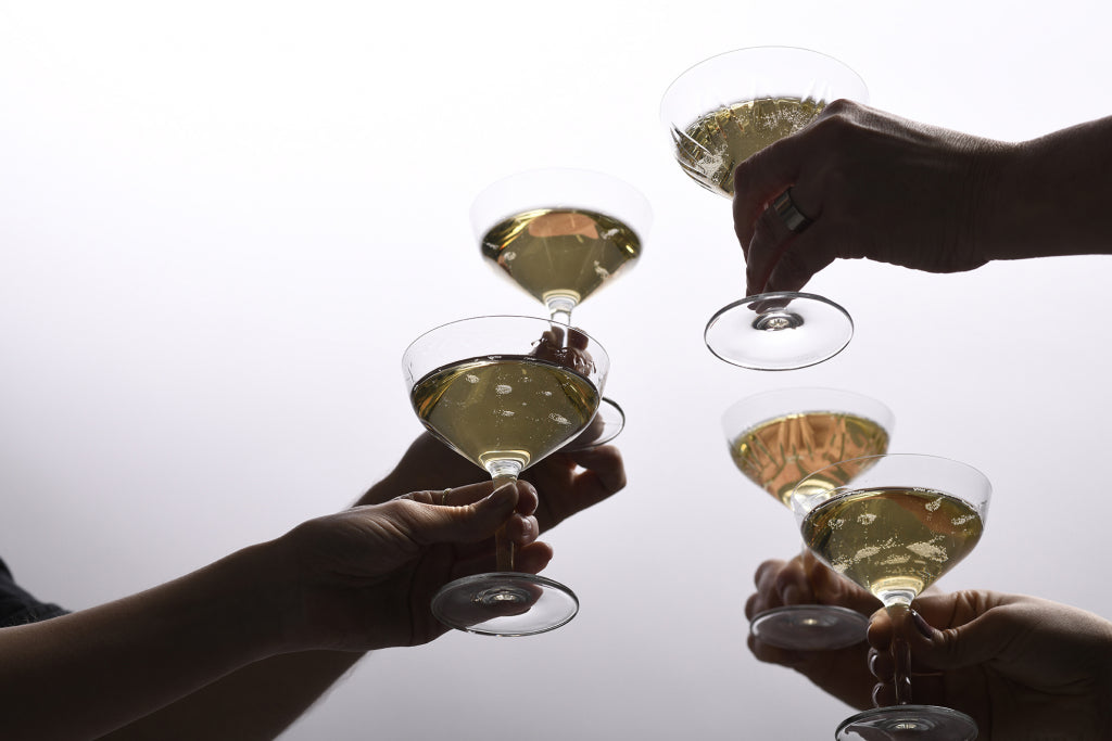 Schott Zwiesel Basic Bar Selection Contemporary Martini Glass 23 Cl - 6 Pieces