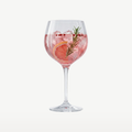 RCR Optiq verre à gin-tonic 67 Cl - 6 pièces