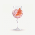 Verre à gin tonic RCR Alkemist 67 cl – 6 pièces