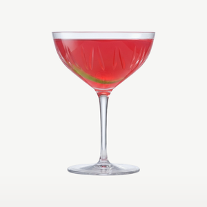 Zwiesel Glas Destille No. 2 Basic Bar Motion